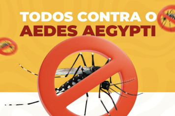  Sempre é hora de combater o Aedes Aegypti